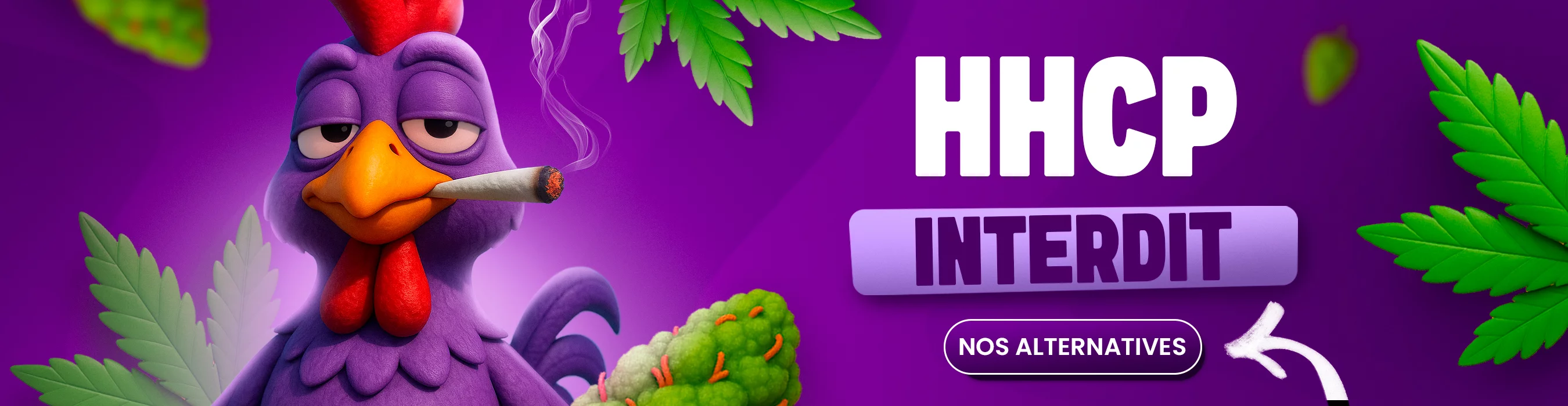 HHCP-Banner