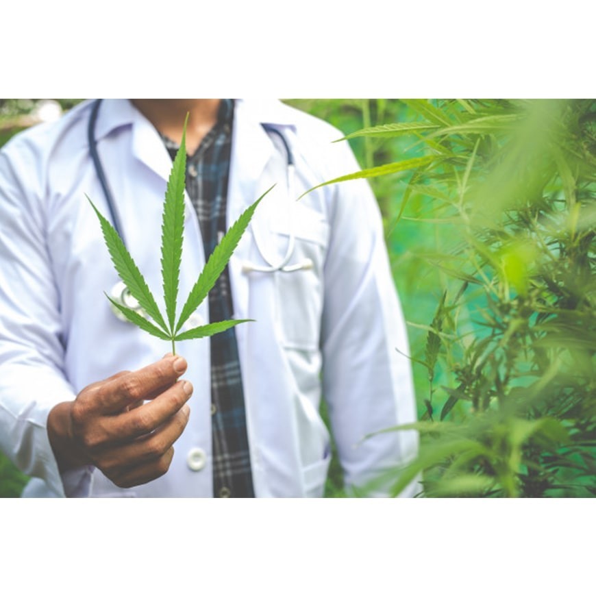 CBD und Schlaf: Wie diese Substanz Ihnen helfen kann, besser zu schlafen