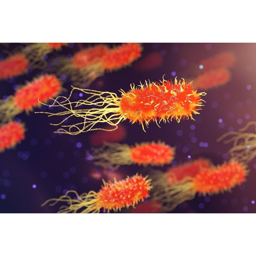 Was wäre, wenn Mikroben die CBD-Produktion ankurbeln würden?