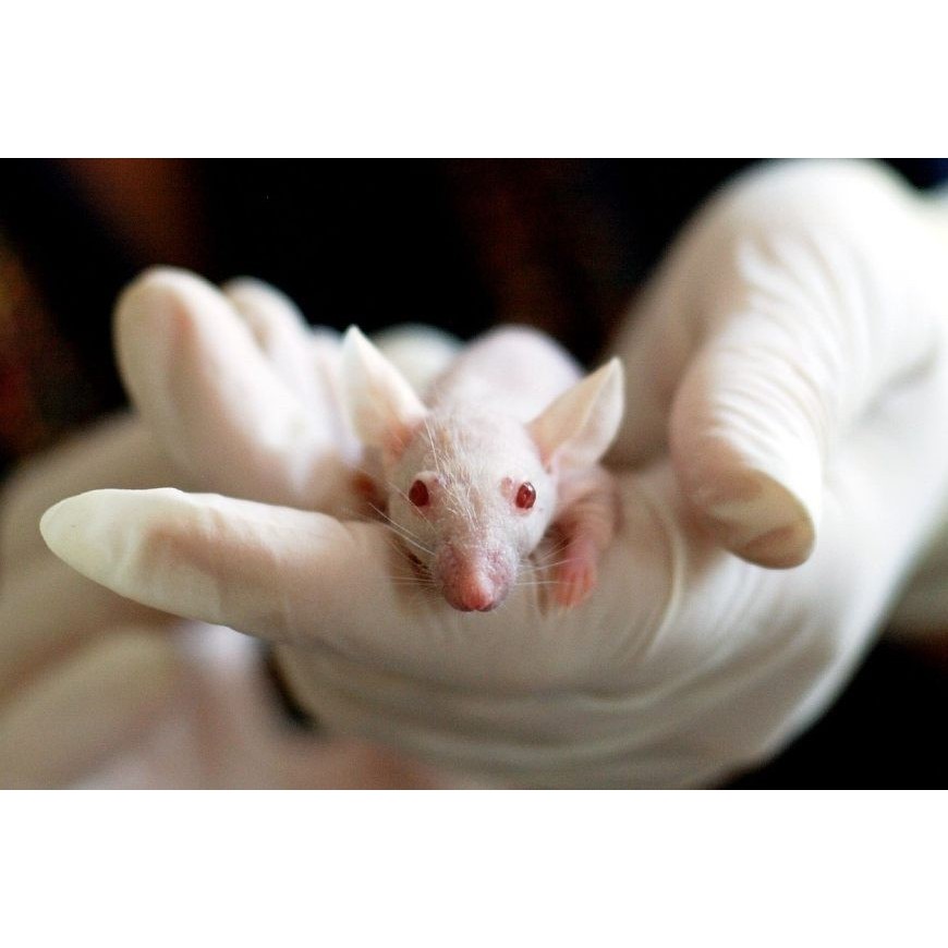 CBD und Depressionen: unterschiedliche Wirkungen je nach Geschlecht?