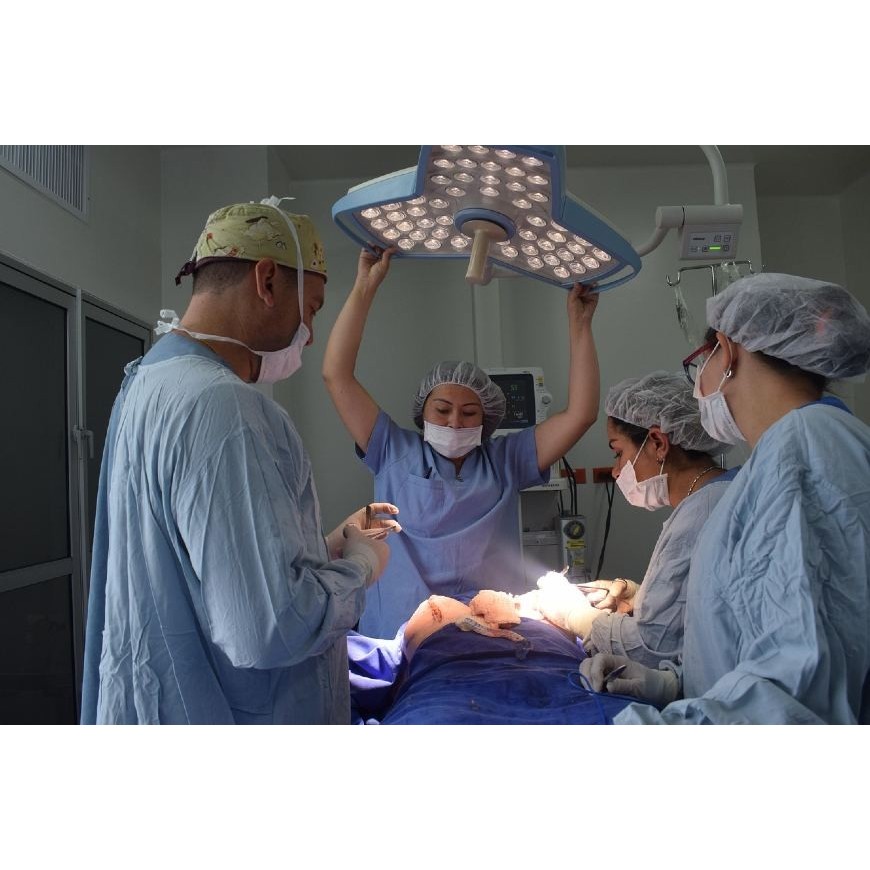 CBD nach einer Organtransplantation?