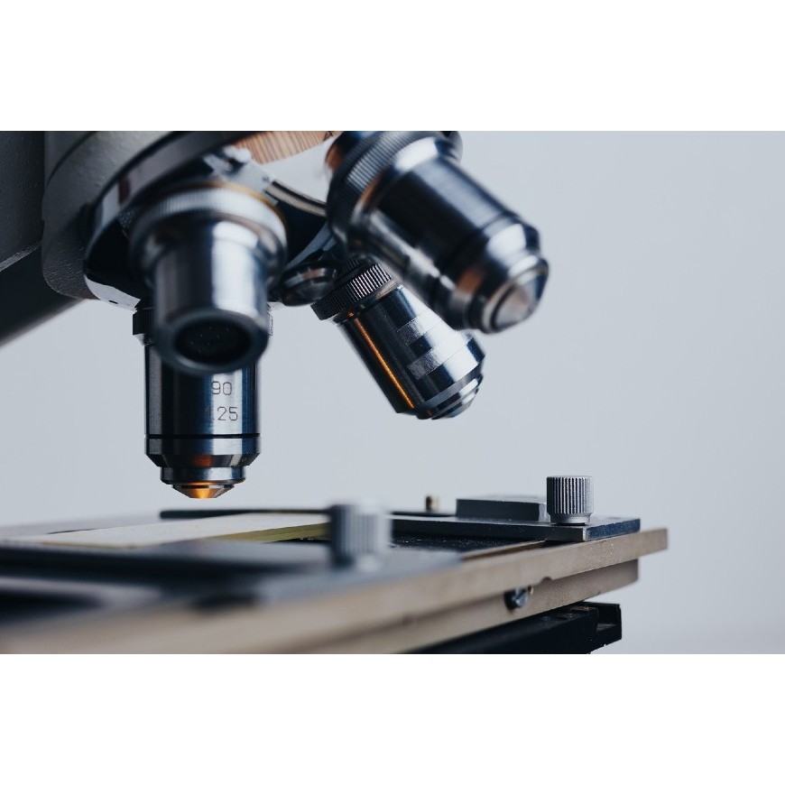 Wer hat CBD entdeckt?