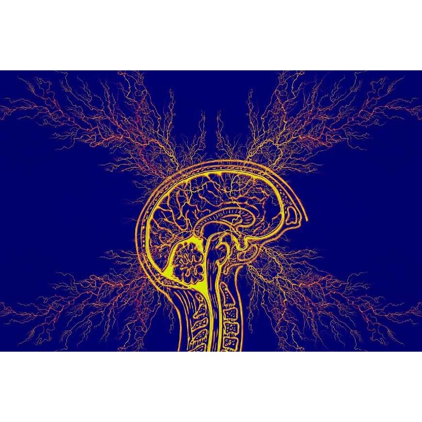 Cannabis gegen das Tourette-Syndrom?