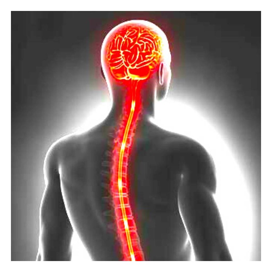 CBD und Multiple Sklerose MS