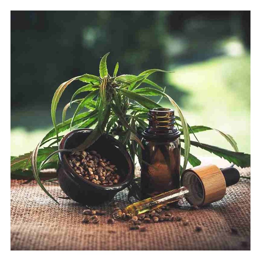 CBN: eine vielversprechende Alternative zu HHC