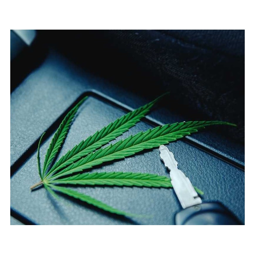 CBD am Steuer verboten: Welche Lösungen gibt es?