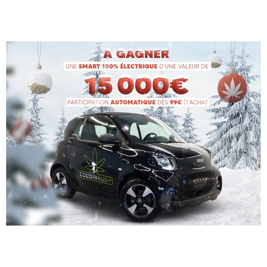 Teilnahmebedingungen für das Gewinnspiel