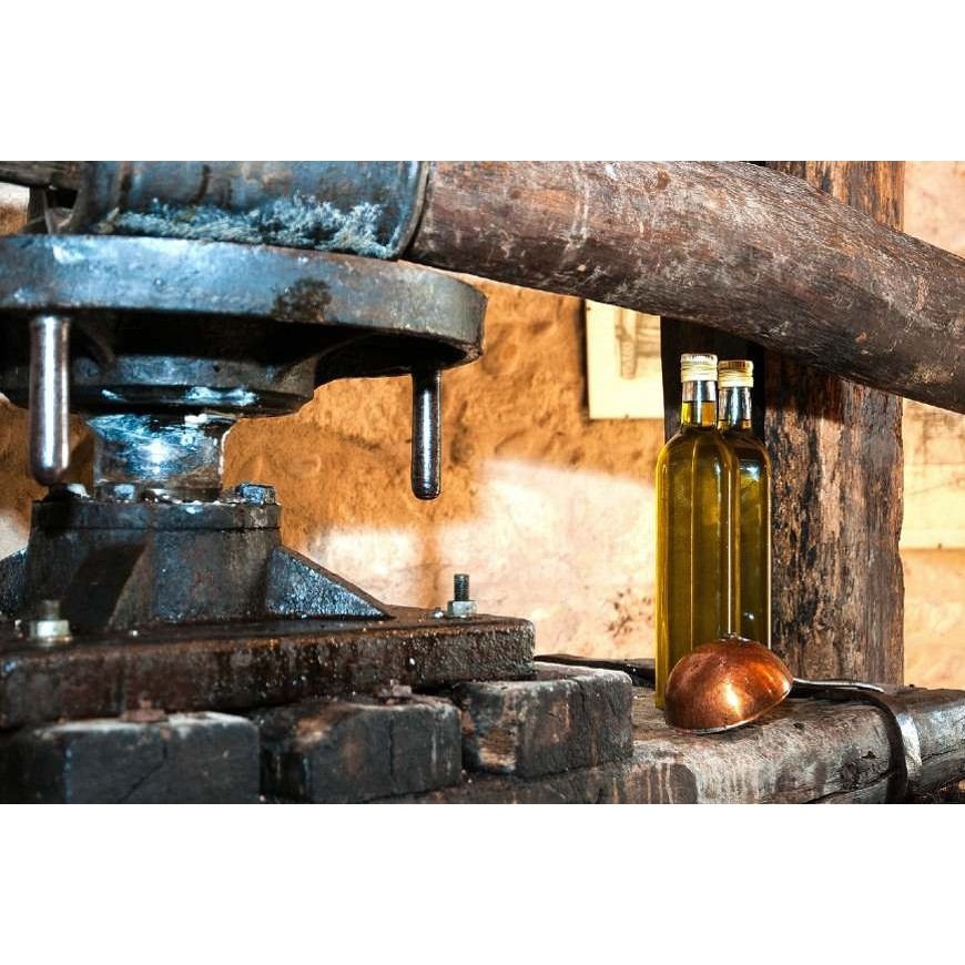 Die Geheimnisse von kaltgepresstem CBD-Öl: Vorteile und Verfahren